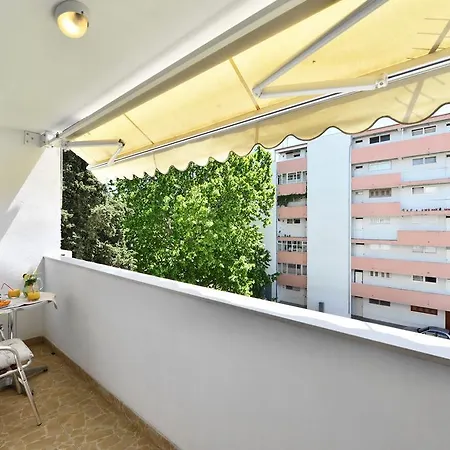 Aspalathos Dream Split