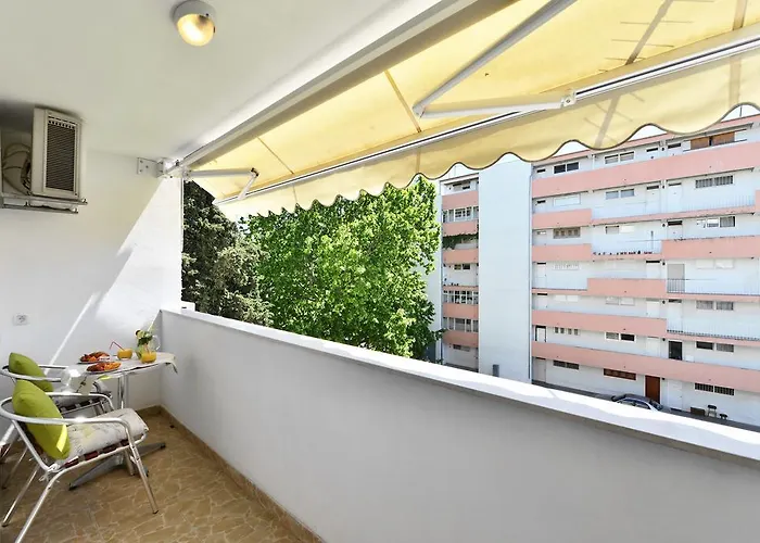 Aspalathos Dream سبليت